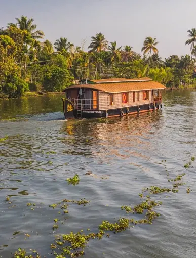 Couple In Kerala